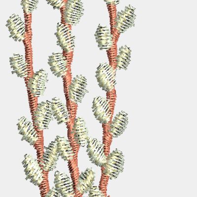 Decorative Thumbnail